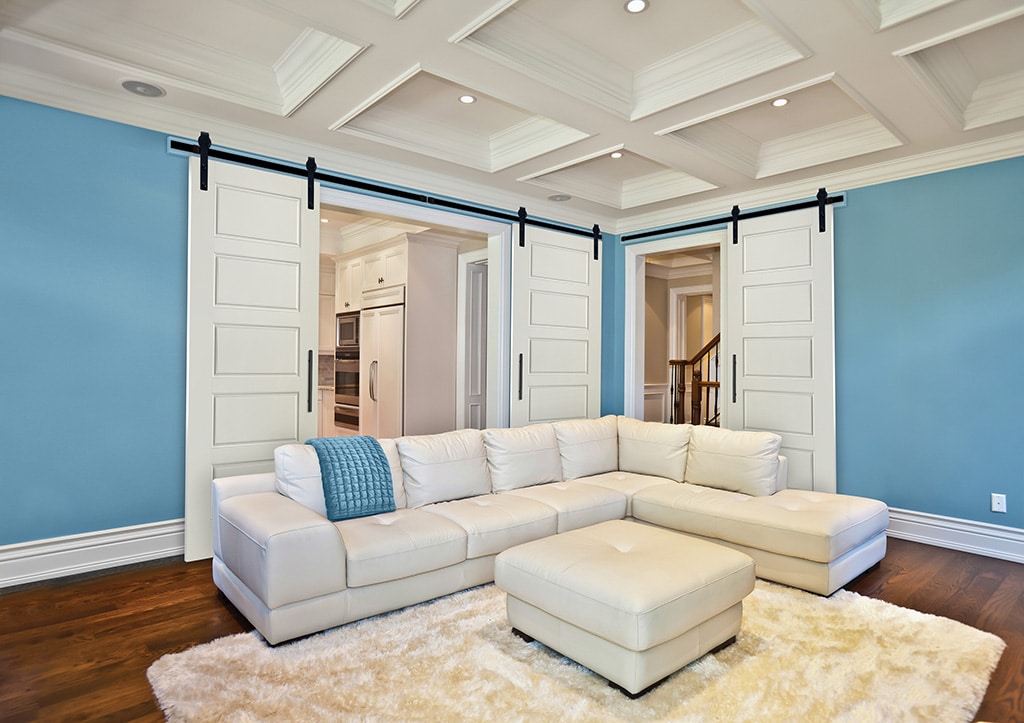 Masonite Select Riverside Interior Door